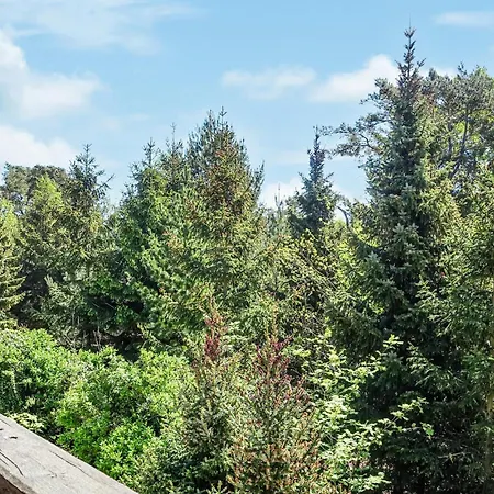 Amazing In With Kitchen *